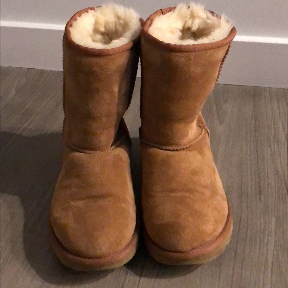 Chestnut short UGGs